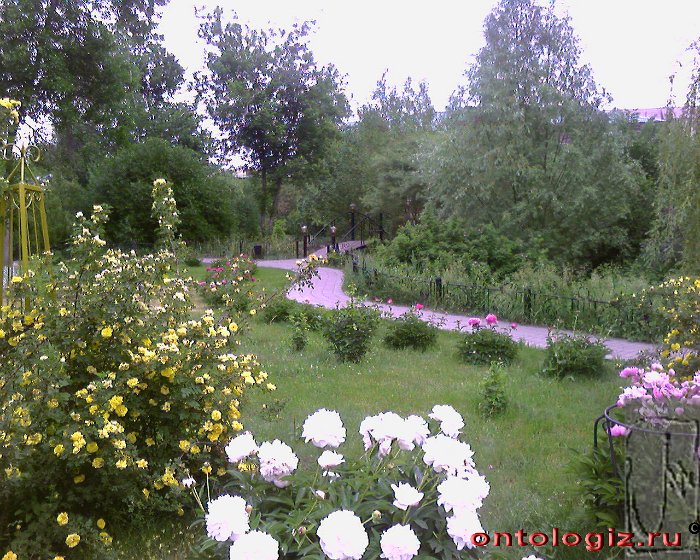 park