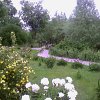 park